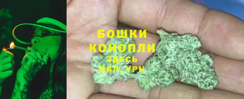 Каннабис OG Kush  omg   Серов  купить  